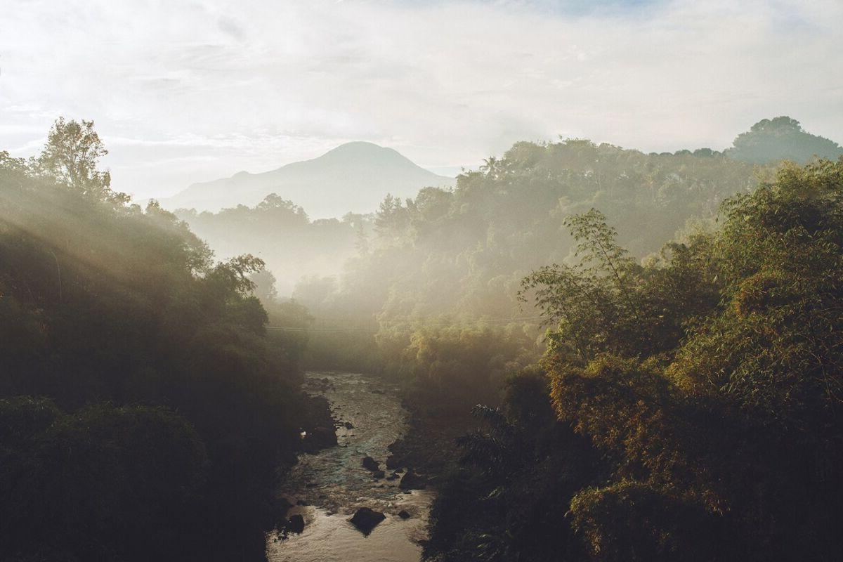 薄雾笼罩着河流和树木，背景是山