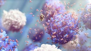 B细胞释放抗体与病毒结合