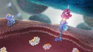 t细胞受体在癌症治疗中的科学形象
